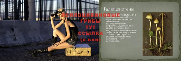 мет Абинск