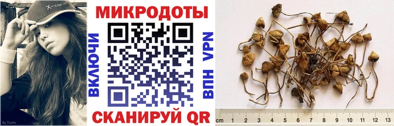 где можно купить наркотик  Слюдянка  Галлюциногенные грибы Magic Shrooms 